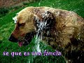 Video Es inutil Sueña Conmigo
