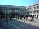 venecia venecia