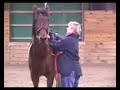 Abby Lunge 1 LQ
