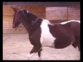 Abby Lunge 1 LQ