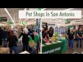 Pet Shops In San Antonio