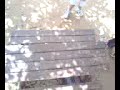 treining-day-15052008-4.html