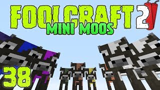 FoolCraft 2 Modded Minecraft 38 Here Come The Mini