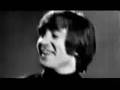 Day Tripper (the Beatles)