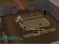 Runescape House Party \" Get Well Soon\" Runescape House Party \" Get Well Soon\"