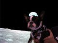 Madison In Space Madison In Space
