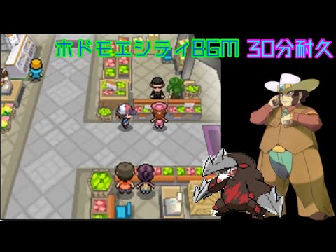 動画