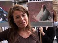 dolphins-dolphin-report.html