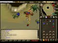 RS: Kalphite Queen Domination