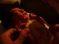 Gwendolyn Soleil Forsyth