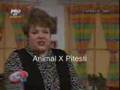Emisiune Animal X La Teo (Animal X Pitesti)