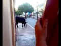 Ver Vídeo