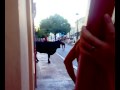 Ver Vídeo