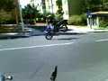 L alan ke stacca in tm!