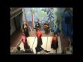 SEVILLANAS. ALMA PEREGRINA, FLAMENCO. FUNCION DE FIN DE AÑO 2008. ESCUELA