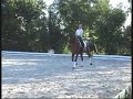 Donna Venezia - PTS Sportpferde