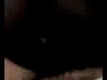 Video0045.mpeg