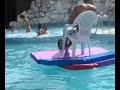 INCREDIBILE! Come stare seduti sopra l'acqua!!!!