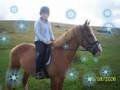 Sammy!! (ma gawjuss pony!)
