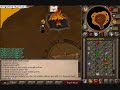 New RuneScape Phoenix