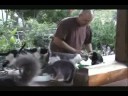 Feeding Feral Cats at IBMC with Rev. Kusala