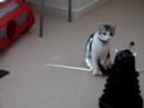 Exterminate? Annihilate? My Cats think cleaning themselves is more interesting