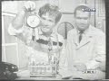 El profesor Loquibambio (pepe biondi)