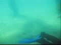 Diving Trefor Pier, North Wales 3 Diving Trefor Pier, North Wales 3