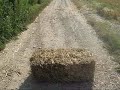 home made buggy from medjimurje 2