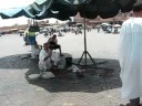 Snake Charmer Snake Charmer