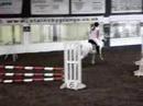 stainsby grange showjumping