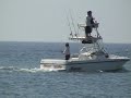 Cobia Time off Navarre Beach