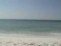 YouTube - Cobia Time off Navarre Beach