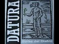 Datura - Yerba Del Diablo