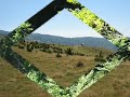 SLAVKOVICI KLIS NERETVICA KONJIC PETRALJ