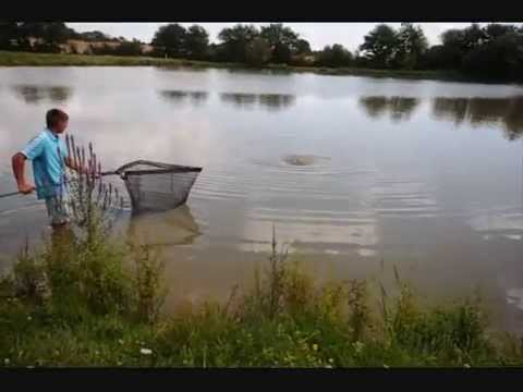 Carp caught for the camera!, Aug 2012