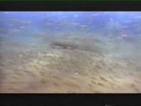 Un documentar superb despre ciclidele Tanganika item-thumbnail