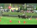 Lostallo 2007 Cavalli e carrozze CONCORSO INTERNAZIONALE ATTACCHI video 3