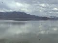 En 30 de enero del 2000, la petrolera Transredes ( propiedad de Enron y Shell) derramó 29.000 barriles de petróleo impunemente en el río Desaguadero (Bolivia). 8 años después la pesca y la ganadería no se ha recuperado de la contaminación del río y los Lagos Uru Uru y Poopó, en el altiplano orureño.La impunidad de las compañías petroleras en America Latina es una práctica habitual de irresponsabilidad criminal que nadie juzga.Enron, Shell, Repsol-YPF, Petrobras y Total continuan saqueando los recursos de bolivia dejando un rastro de contaminación y atropellos sociales