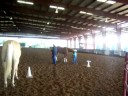 Carlee & Money Showmanship