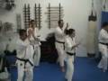 videos de Karate Kyokushinkai 4º clase