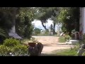 Studio Lainis in Toroni, Chalkidiki, Greece