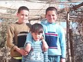 mardin kızıltepe sürekli köyü