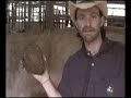 Zoo Keeper