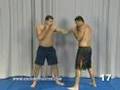 Shogun_Ninja_Rua_The_Flying_Knee