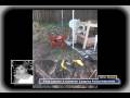 p3/3 - Tony Lazzaro & Cameron Campina Police Interview - Casey / Caylee Marie Anthony Homicide Case