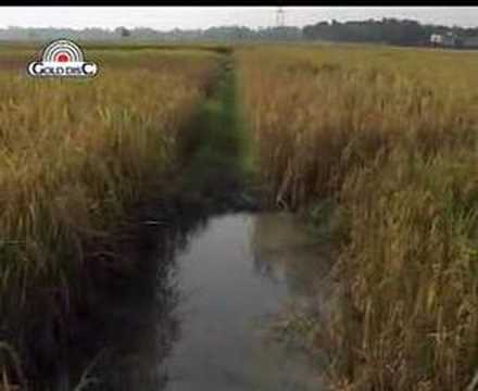 Jharkhand.org.in - Presents Santhali ...