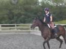 Newt dressage lesson