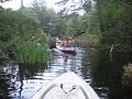 Entering the Bog