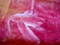 BISCHHEIM VIVIAN CRETTOL 5